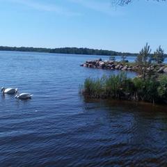 Загородный дом Загородный дом Хутор Скреблово, Луга, Ленинградская область