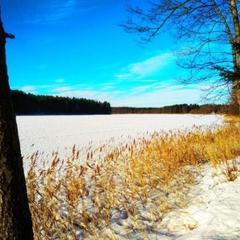 База отдыха Охотник и рыболов, Лужский район, Ленинградская область