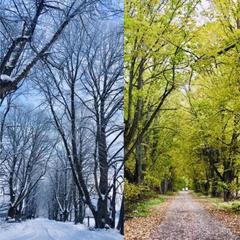 База отдыха Охотник и рыболов, Лужский район, Ленинградская область