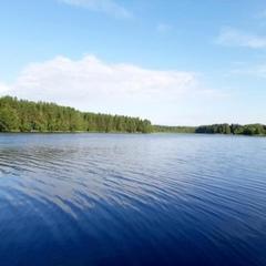 База отдыха Охотник и рыболов, Лужский район, Ленинградская область