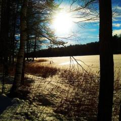 База отдыха Охотник и рыболов, Лужский район, Ленинградская область