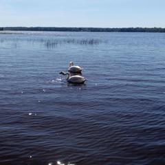 Загородный дом Загородный дом Хутор Скреблово, Луга, Ленинградская область