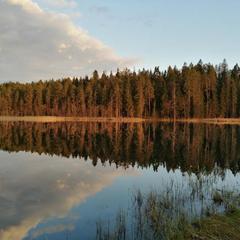 Загородный отель Сахалин, Луга, Ленинградская область