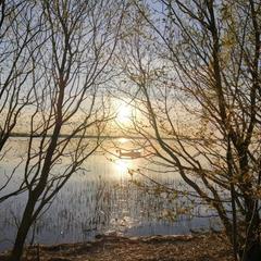 Загородный дом Загородный дом Хутор Скреблово, Луга, Ленинградская область