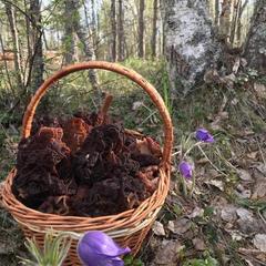 Загородный дом Загородный дом Хутор Скреблово, Луга, Ленинградская область