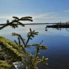 Загородный дом Загородный дом Хутор Скреблово, Луга, Ленинградская область