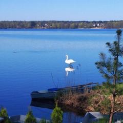 Загородный дом Загородный дом Хутор Скреблово, Луга, Ленинградская область