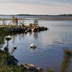 Загородный дом Загородный дом Хутор Скреблово, Луга, Ленинградская область