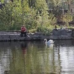 Загородный дом Загородный дом Хутор Скреблово, Луга, Ленинградская область