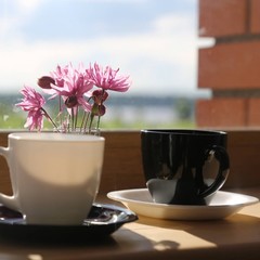 База отдыха Лука, Лука (Тверская область), Тверская область