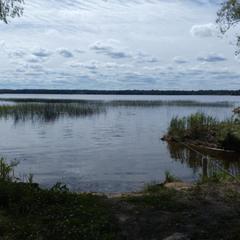 Загородный дом Загородный дом Хутор Скреблово, Луга, Ленинградская область