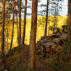 База отдыха Берлога, Лумиваара, Республика Карелия