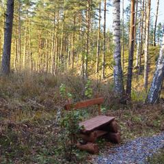 База отдыха Берлога, Лумиваара, Республика Карелия