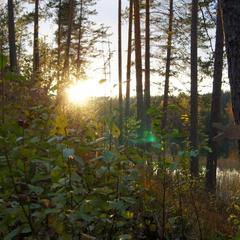 База отдыха Берлога, Лумиваара, Республика Карелия