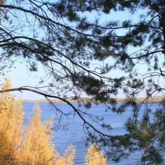 Загородный отель Крутояр, Лунево, Костромская область