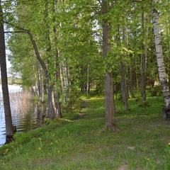 База отдыха Охотник и рыболов, Лужский район, Ленинградская область