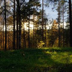 База отдыха Берлога, Лумиваара, Республика Карелия