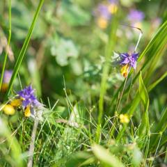 База отдыха Берлога, Лумиваара, Республика Карелия