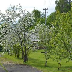 База отдыха Охотник и рыболов, Лужский район, Ленинградская область