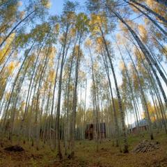 Загородный отель Крутояр, Лунево, Костромская область