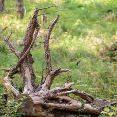 База отдыха Берлога, Лумиваара, Республика Карелия