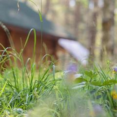 База отдыха Берлога, Лумиваара, Республика Карелия