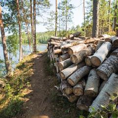 База отдыха Берлога, Лумиваара, Республика Карелия