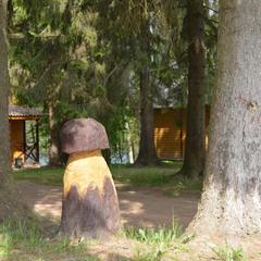 База отдыха Охотник и рыболов, Лужский район, Ленинградская область