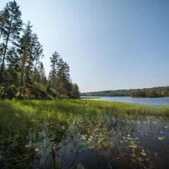 База отдыха Берлога, Лумиваара, Республика Карелия
