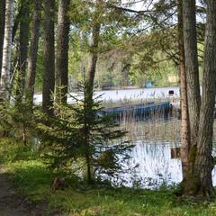 База отдыха Охотник и рыболов, Лужский район, Ленинградская область