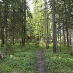 База отдыха Охотник и рыболов, Лужский район, Ленинградская область