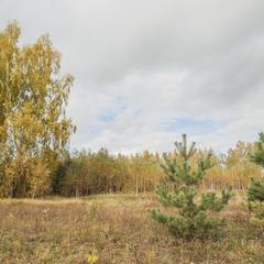 Усадьба Ромашкино, Лунево, Костромская область