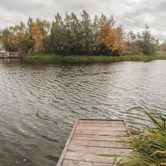 Усадьба Ромашкино, Лунево, Костромская область