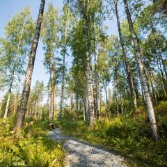База отдыха Берлога, Лумиваара, Республика Карелия