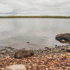 Усадьба Ромашкино, Лунево, Костромская область