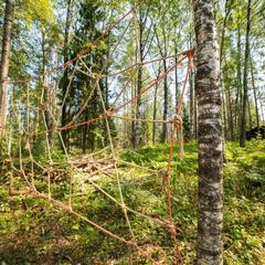 База отдыха Берлога, Лумиваара, Республика Карелия