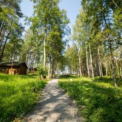 База отдыха Берлога, Лумиваара, Республика Карелия