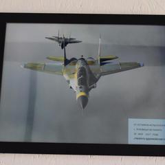 Гостевой дом Ясные зори, Луховицы, Московская область