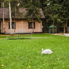 Усадьба Ромашкино, Лунево, Костромская область