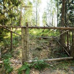 База отдыха Берлога, Лумиваара, Республика Карелия