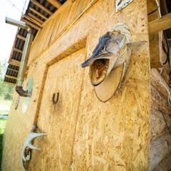 База отдыха Берлога, Лумиваара, Республика Карелия