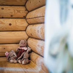 Усадьба Ромашкино, Лунево, Костромская область