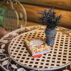 Усадьба Ромашкино, Лунево, Костромская область