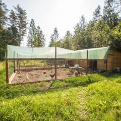 База отдыха Берлога, Лумиваара, Республика Карелия