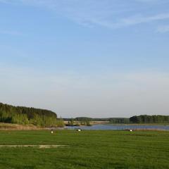 Гостевой дом Ясные зори, Луховицы, Московская область