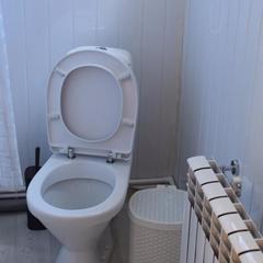 Гостевой дом Ясные зори, Луховицы, Московская область