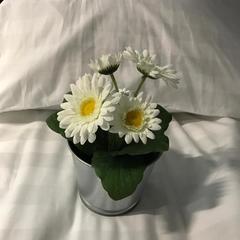 Хостел Greenstop, Лысково, Нижегородская область