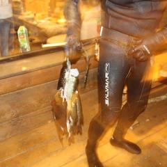 База отдыха Берлога, Лумиваара, Республика Карелия