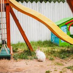 Усадьба Ромашкино, Лунево, Костромская область