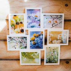 Усадьба Ромашкино, Лунево, Костромская область